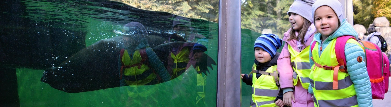 Děti v zoo pozorují skrze sklo plovoucího lachtana